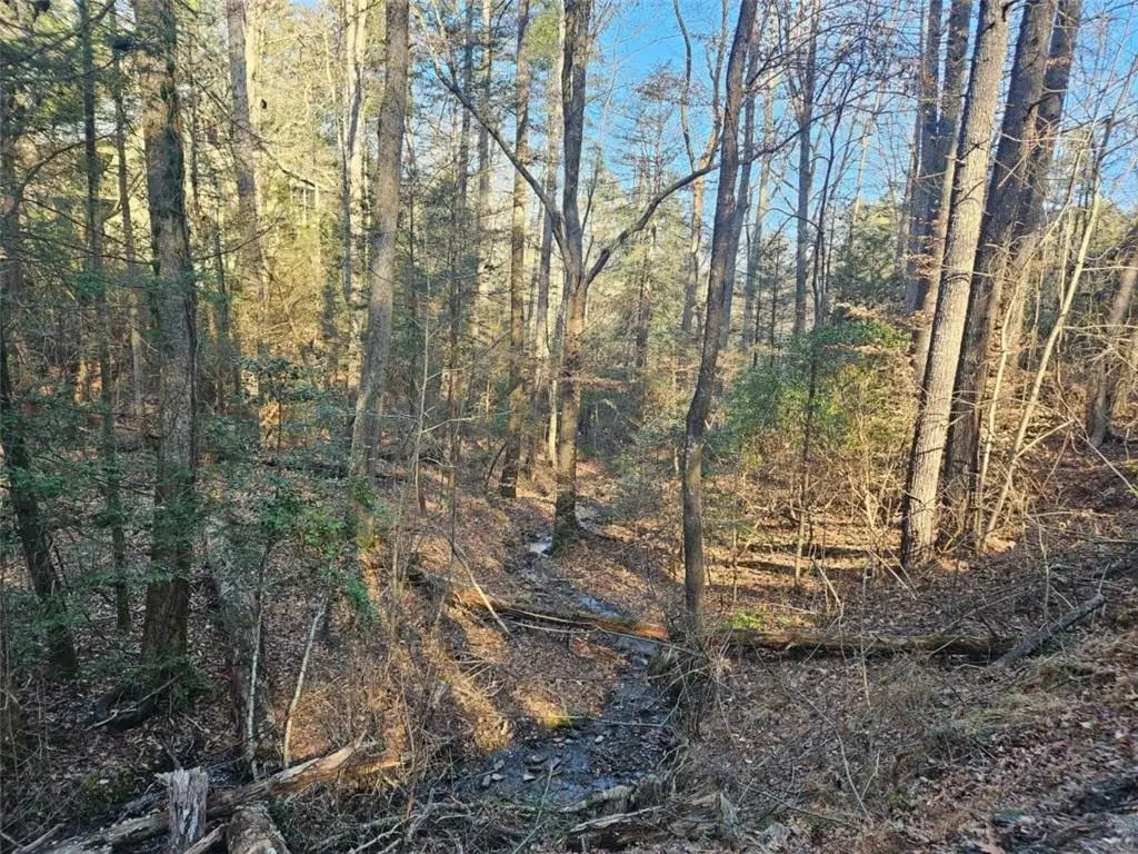 LT 162 Nexus Drive, Ellijay, GA 30540 - Image #1