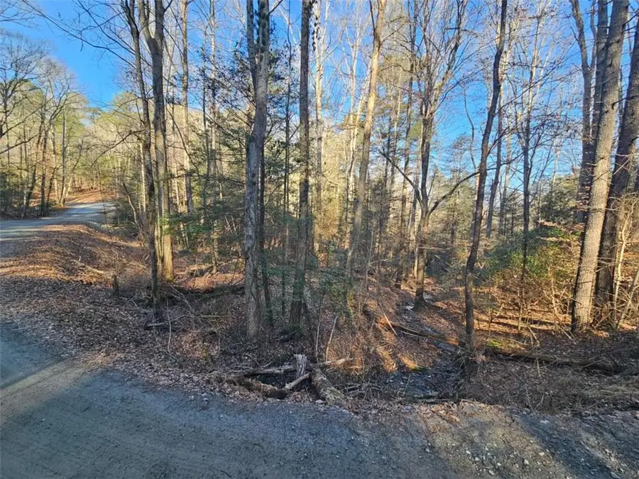 LT 162 Nexus Drive, Ellijay, GA 30540 - Image #3