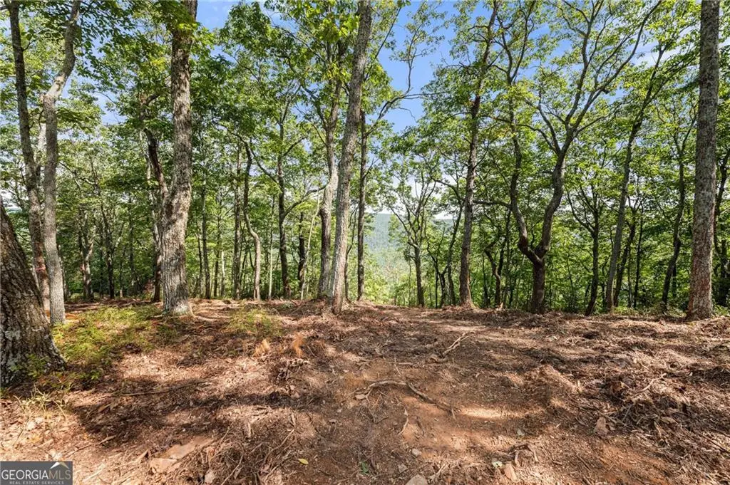 347 Highlands Drive, Clarkesville, GA 30523 - #1