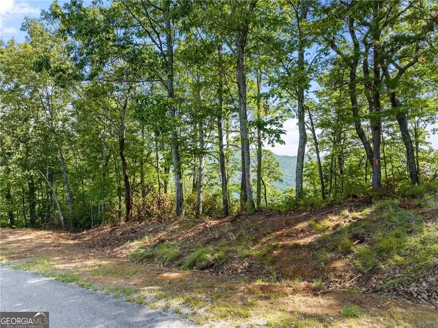 347 Highlands Drive, Clarkesville, GA 30523 - #3