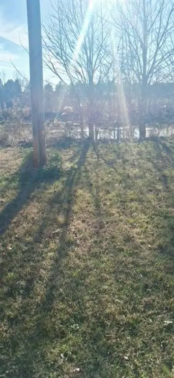 139 Dan Rhyne Road, Leslie, GA 31764 - #3