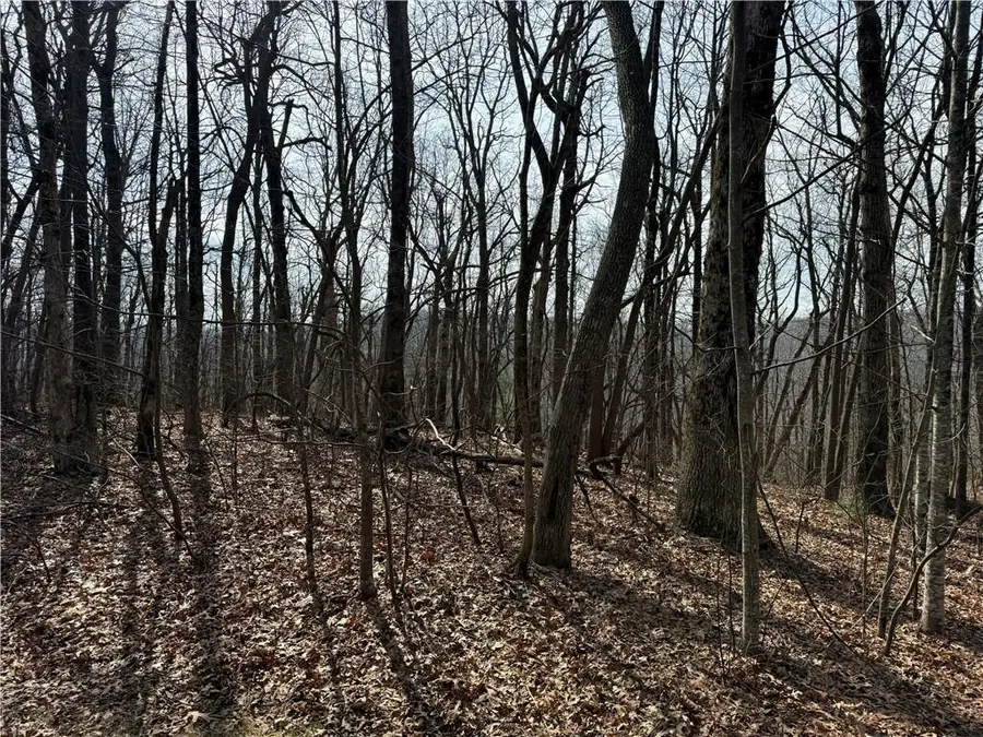 00 Burnt Mountain Ridge Road, Jasper, GA 30143 - #2