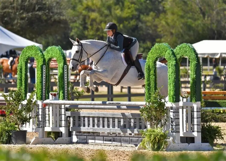 531 S Main Street #210, Alpharetta, GA 30009 - #3