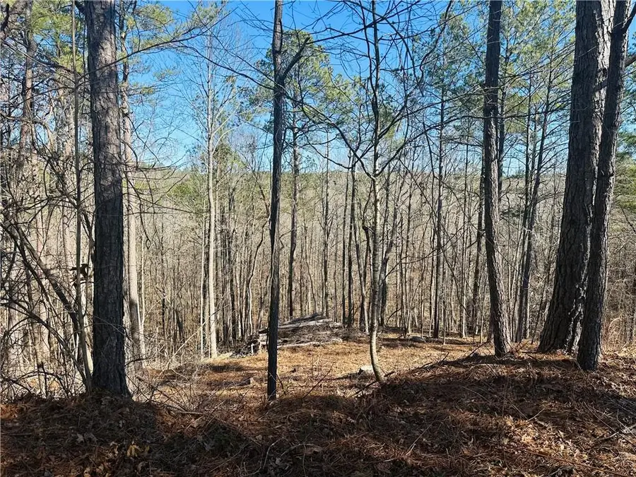 9590 Grande Drive, Winston, GA 30187 - #3