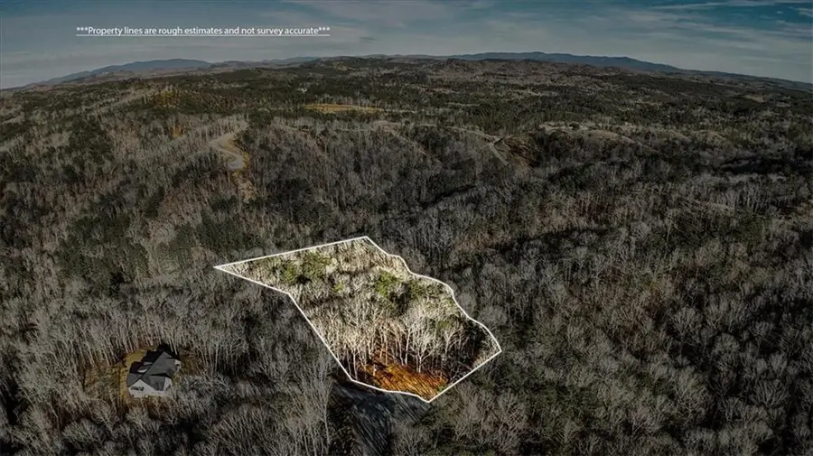 0 Meditation Ln, Talking Rock, GA 30175 - #2