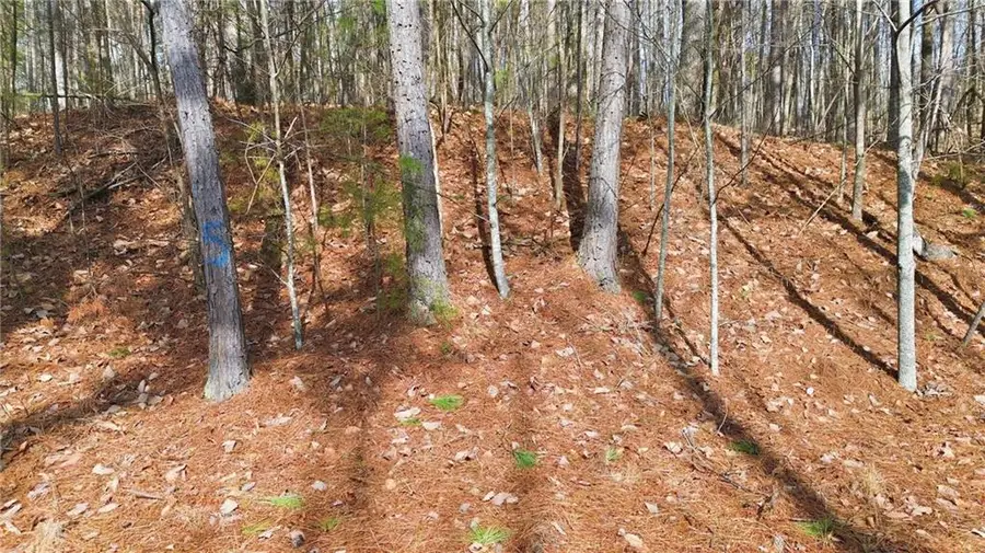 765 Plum Lane, Clarkesville, GA 30523 - #2