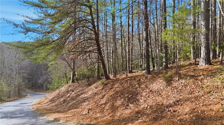 465 Yates Circle, Clarkesville, GA 30523 - #2