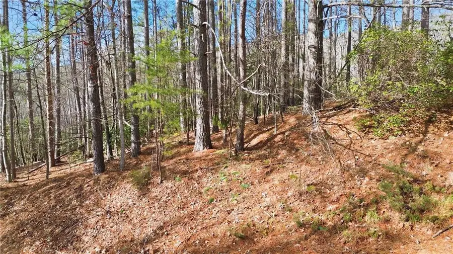 465 Yates Circle, Clarkesville, GA 30523 - #3