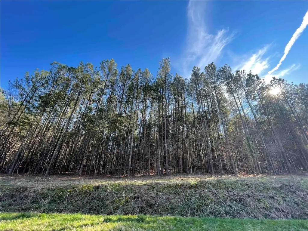0 Rockfence Road, Adairsville, GA 30103 - #1