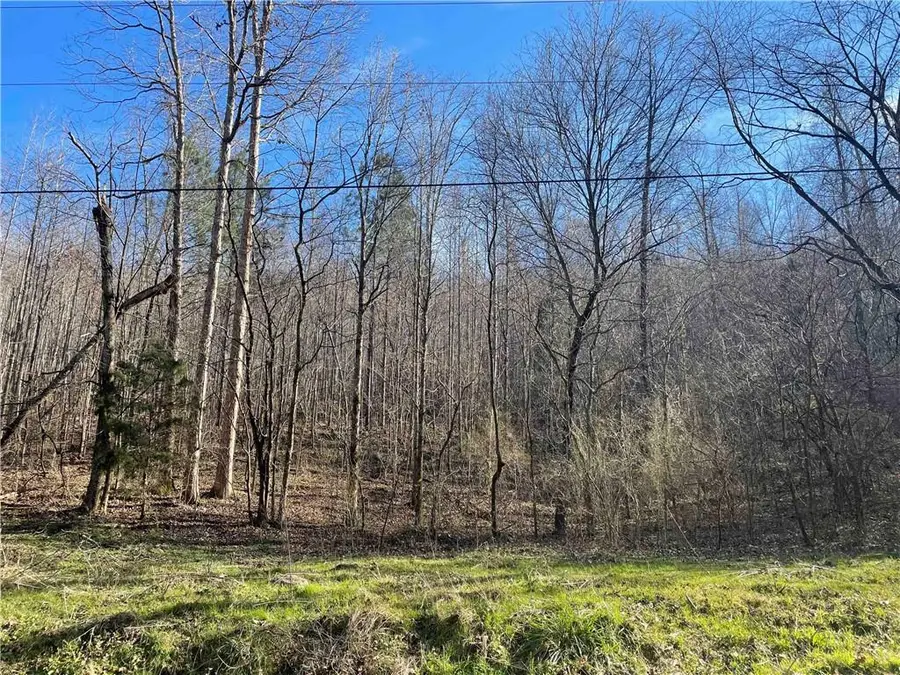 0 Rockfence Road, Adairsville, GA 30103 - #2