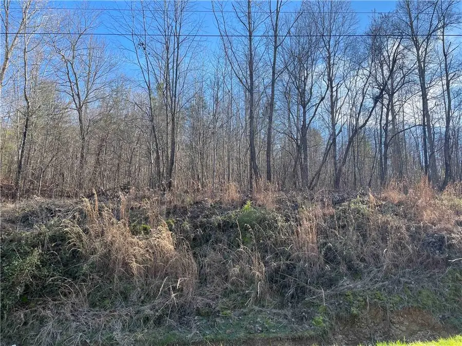 0 Rockfence Road, Adairsville, GA 30103 - #3