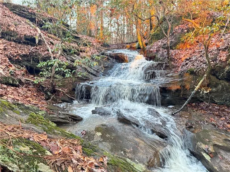 1632 Sperin Road, Ball Ground, GA 30107 - #3