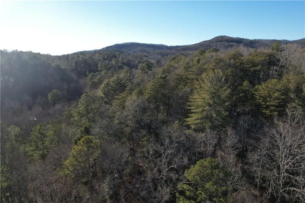 0 Old Miller Rock Road, Ellijay, GA 30540 - #1