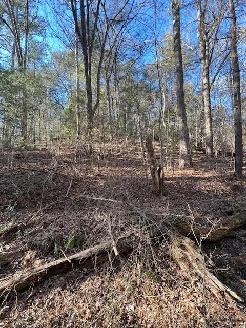 0 Old Miller Rock Road, Ellijay, GA 30540 - #3