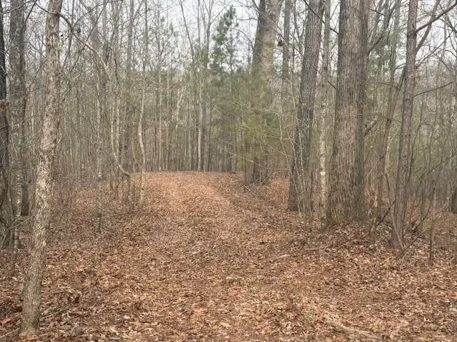 Lot 2 Swan Bridge Road, Talking Rock, GA 30175 - #3