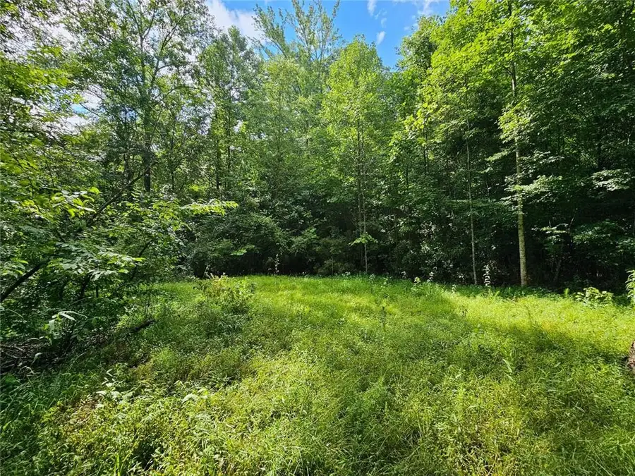 0 Hutcheson Road, Temple, GA 30179 - #2