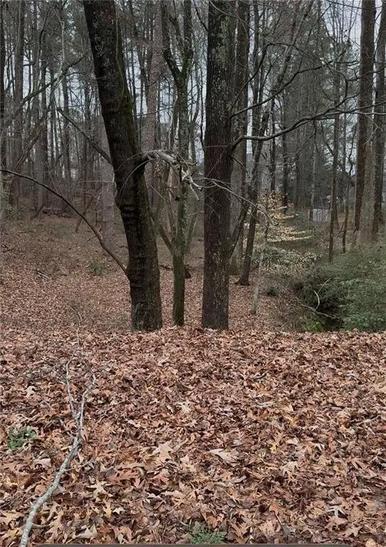 3262 Camens Way, Buford, GA 30519 - #1