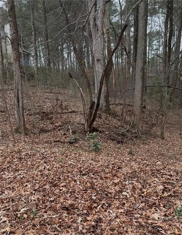 3262 Camens Way, Buford, GA 30519 - #2