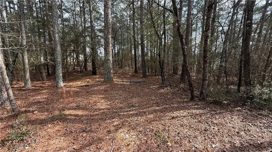 9127 E Carroll Road, Winston, GA 30187 - #3