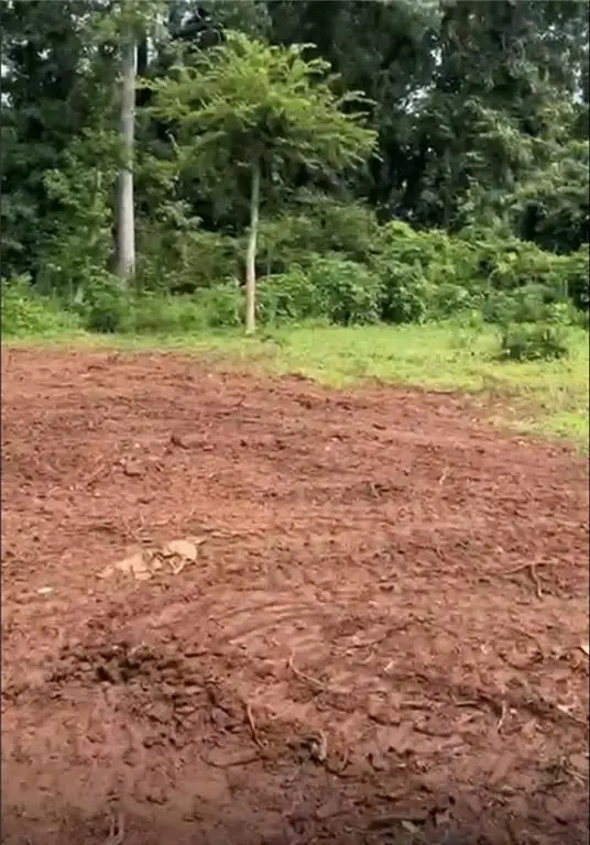 2047 Moody Drive Sw, Atlanta, GA 30315 - #1