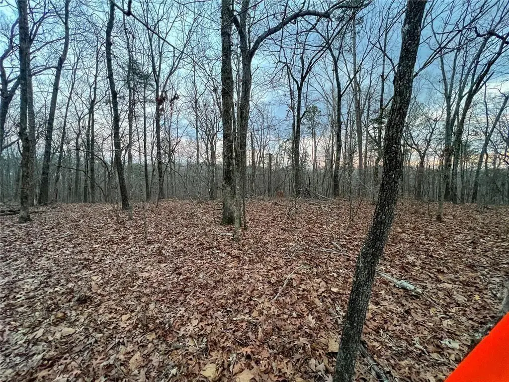 0 Kelly Bridge Road, Blacks Mill, GA 30504 - #1