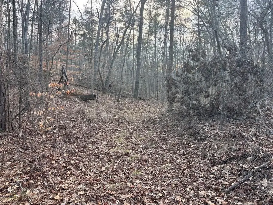 0 Kelly Bridge Road, Blacks Mill, GA 30504 - #2