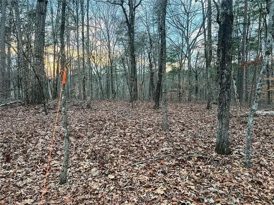 0 Kelly Bridge Road, Blacks Mill, GA 30504 - #3