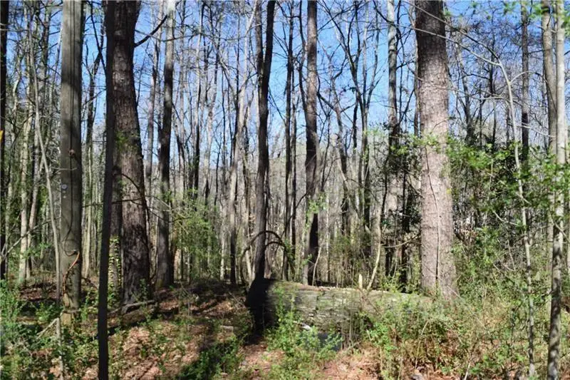 5425 Davis Drive, Austell, GA 30106 - #2