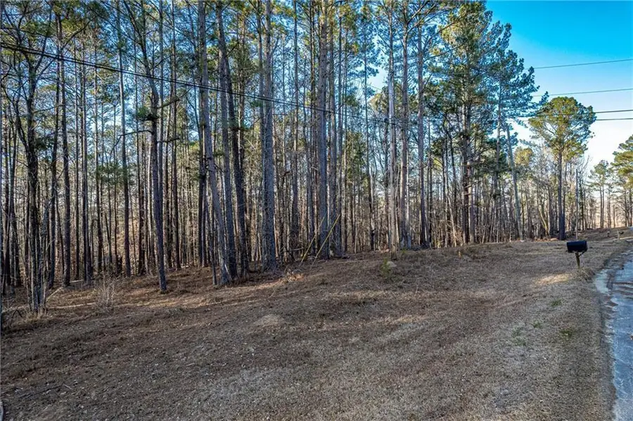 00 N Steel Bridge Road, Eatonton, GA 31024 - #2