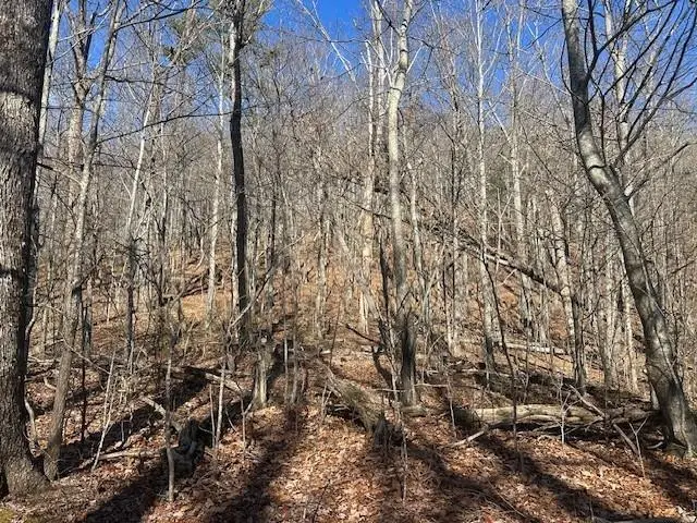 257 Andes Ridge, Jasper, GA 30143 - #3