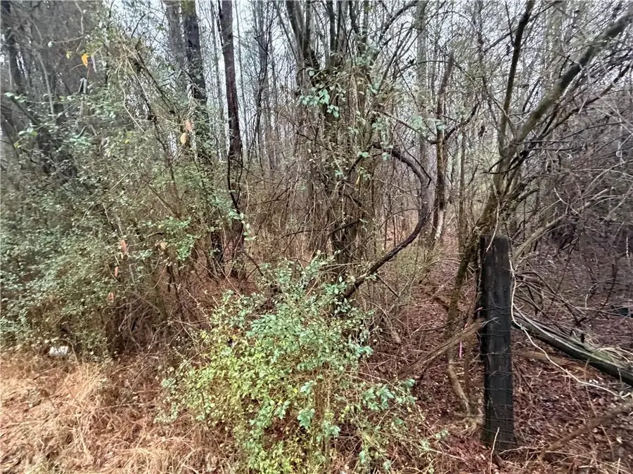 0 Dry Creek/edwards Road, Cedartown, GA 30125 - #2