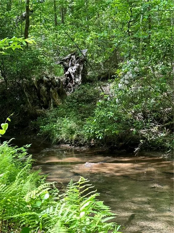 0000 Bridle Ridge Lane, Canton, GA 30114 - #1