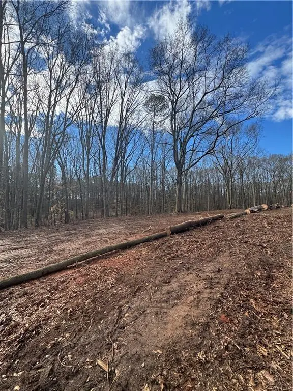 231 Roosevelt Circle, Bowman, GA 30624 - #3