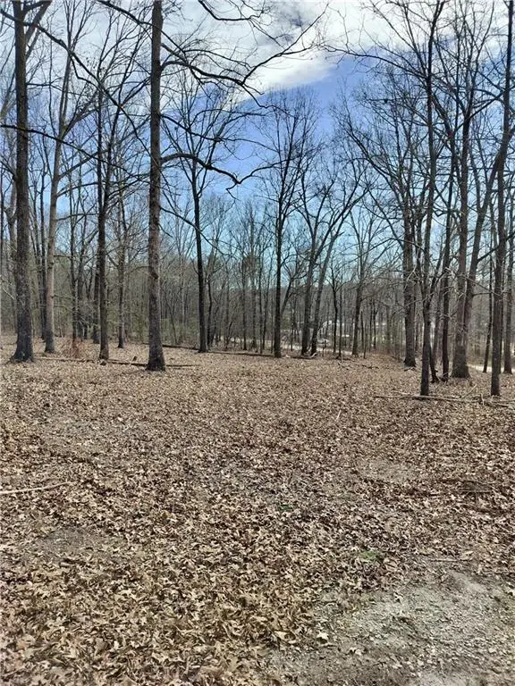 0 Hickory Log Circle, Eastanollee, GA 30538 - #1