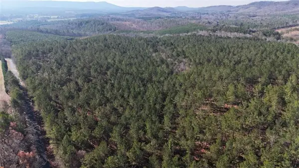 32 ACR Tract 14, Lyerly, GA 30730