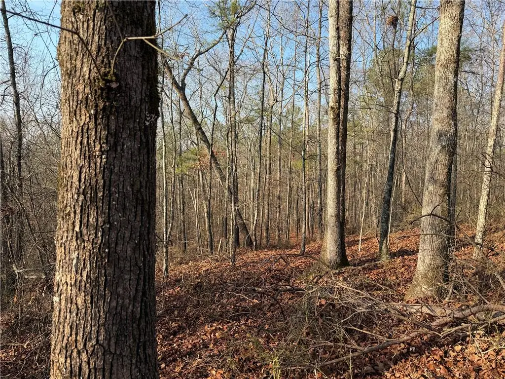 0 Lower Sweetwater Road, Canton, GA 30114 - #1