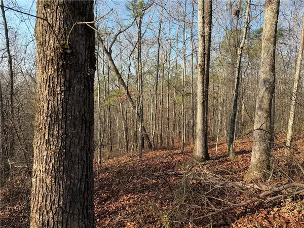 0 Lower Sweetwater Road, Canton, GA 30114