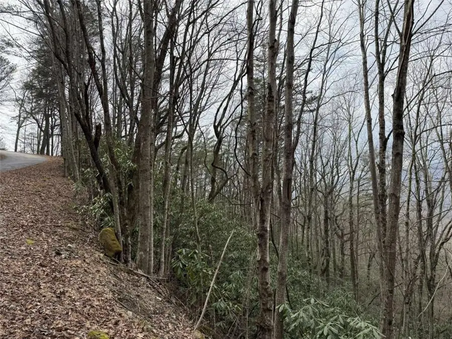 LOT416 Screamer Drive, Clayton, GA 30525 - #3