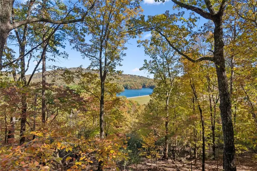 101 Treetopper Circle, Jasper, GA 30143 - #3