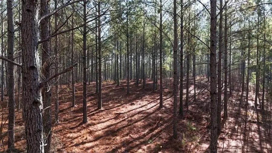 0 Gaylor Road, Lyerly, GA 30730 - #3