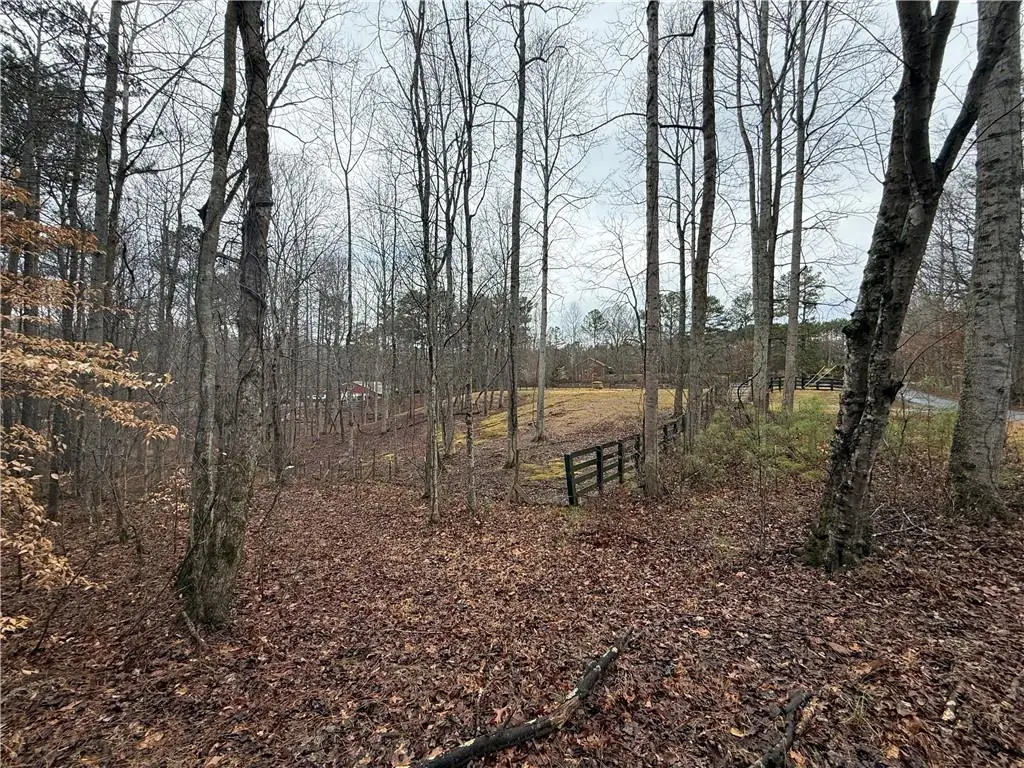 1670 Rock Springs Lane, Woodstock, GA 30188 - #1