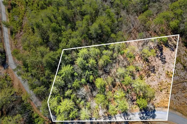 0 Mountain Laurel, Mineral Bluff, GA 30559