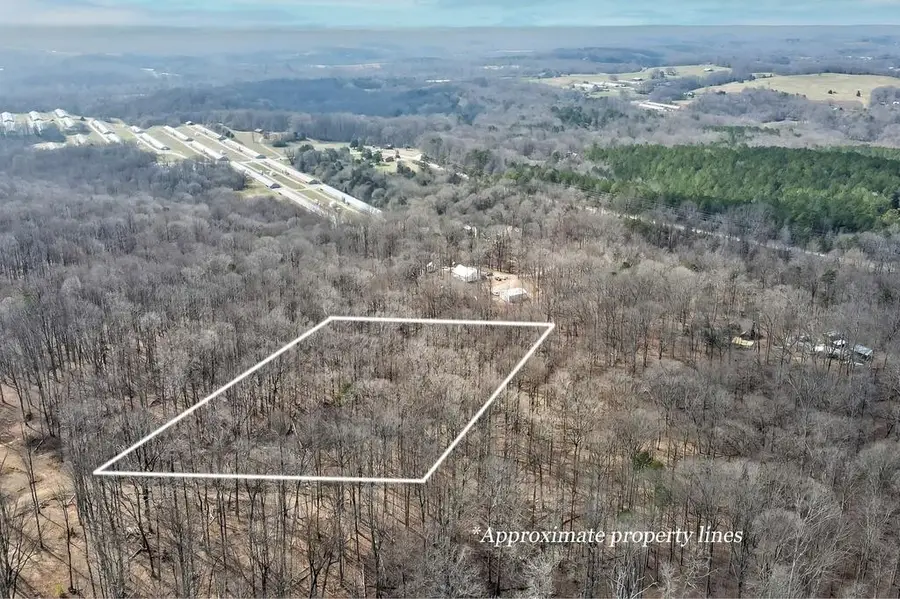 00 Scales Creek Road, Homer, GA 30547 - #3