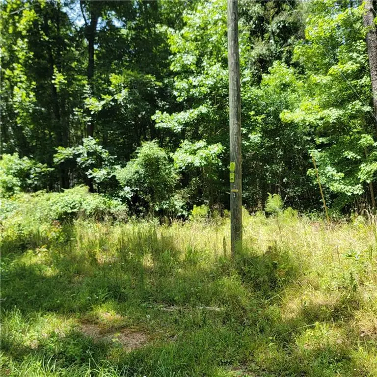 0 Spring Hill Drive, Covington, GA 30016 - #3