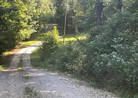 12 Banks Street, Lexington, GA 30648 - #1