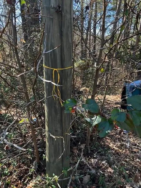 339 N Century Drive, Martin, GA 30557 - #3