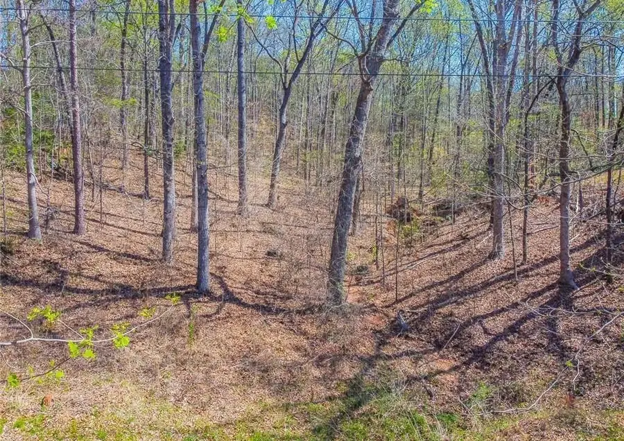 0 Arrow Lane, Lavonia, GA 30553 - #3