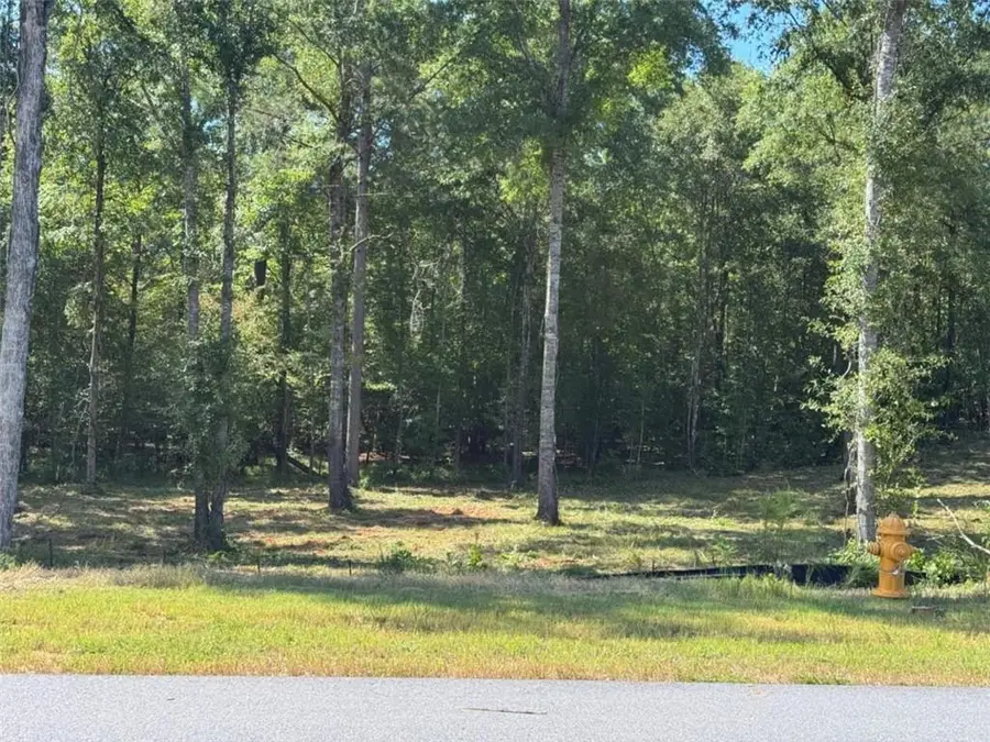 100 Falls Lane, Milledgeville, GA 31061 - #3