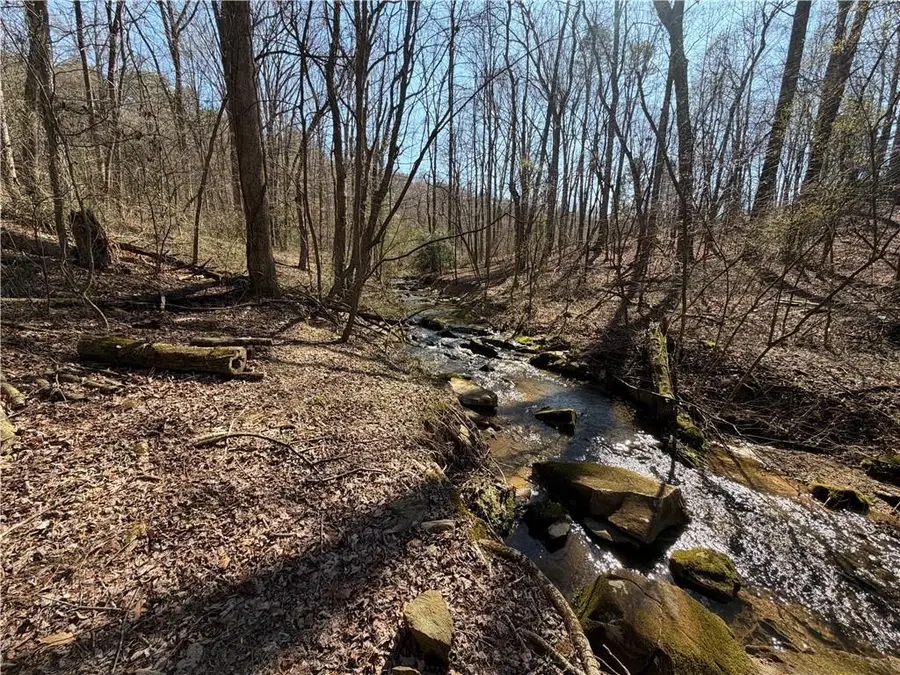 522 Bible Baptist Road, Ellijay, GA 30536 - #3