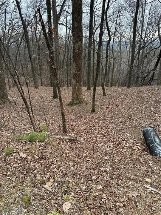 1225 Oglethorpe Road, Jasper, GA 30143 - #3